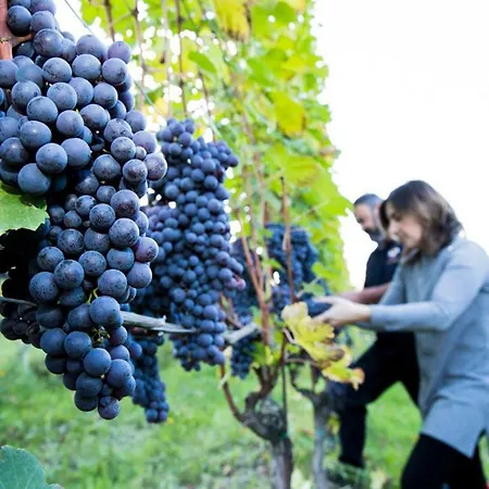 Costa Catterina Castagnito